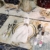 Huachaoxiang 24 PCS Besteckset Aus Edelstahl, Mit Keramikgriffen,Spiegelpolieren, Geeignet Für Hochzeiten/Weihnachten/Geburtstage,Rosa - 5
